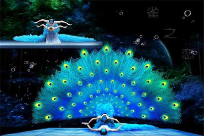 雀之戀舞蹈表演-雀之靈夢(mèng)幻舞蹈節(jié)目